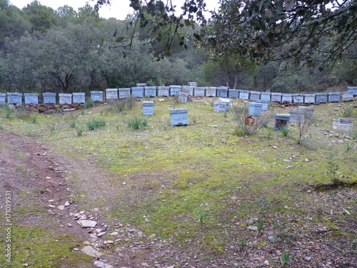 Stone boxes in the forest