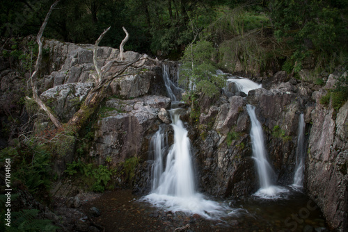 Dungeon Ghyll force  waterfall  Langdales  Cumbria.