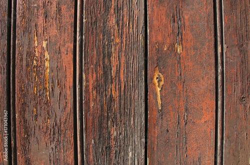Texture of old wood with cracked paint of dark red color