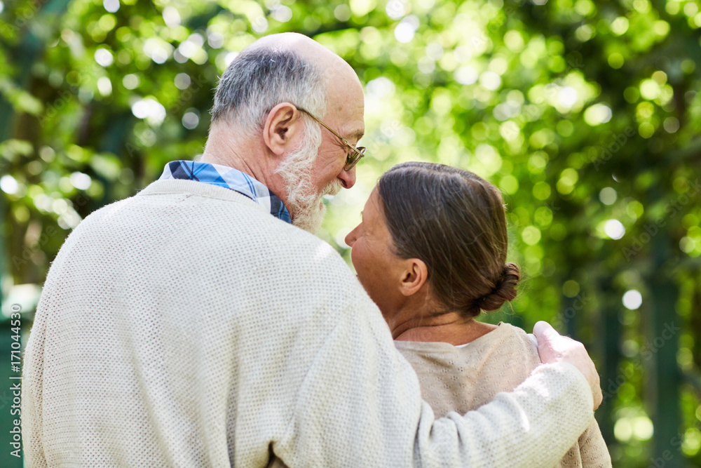 Back view of happy amorous seniors spending time in summer park Back view of happy amorous seniors spending time in summer park