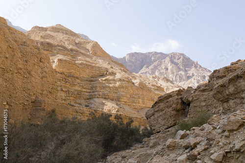 Wadi Arugot River, ein Gedi nature reserve, dead sea, Israel © Fredy Thürig