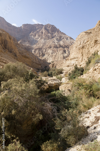 Wadi Arugot River, ein Gedi nature reserve, dead sea, Israel