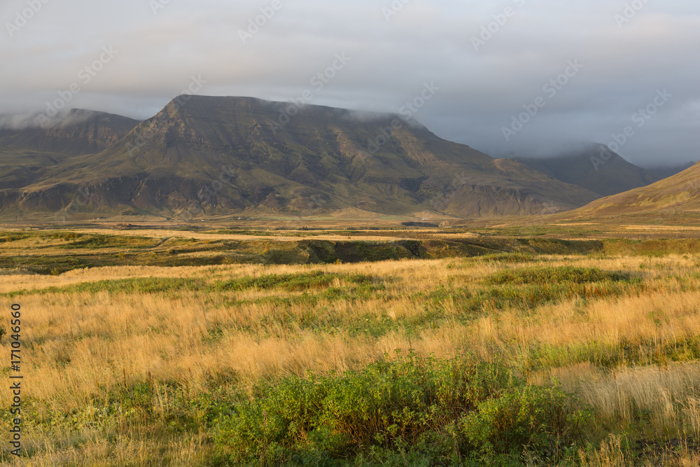 Landscape in iceland during the autumn with golden colors