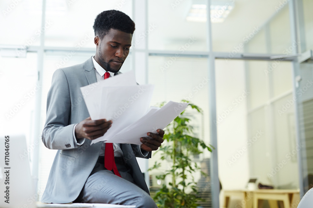 Elegant professional looking through financial papers in office Elegant professional looking through financial papers in office