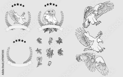 Vector set hand painted eagle and red roses. For graphic design, signage,icon and text