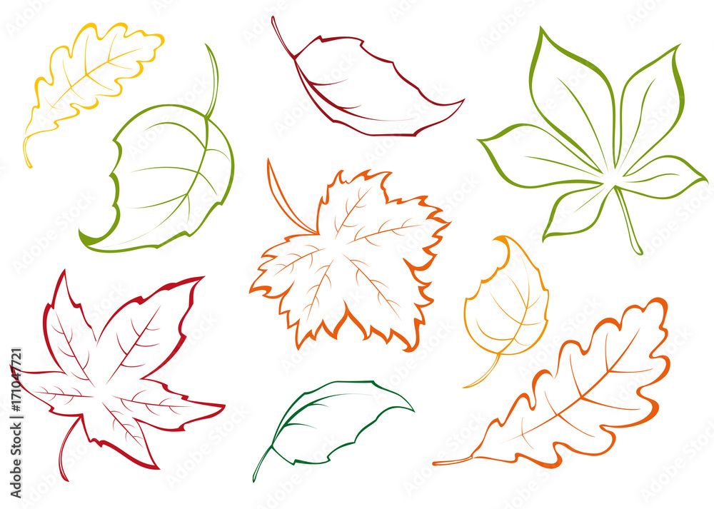 different autumn leaves icons - obrazy, fototapety, plakaty 