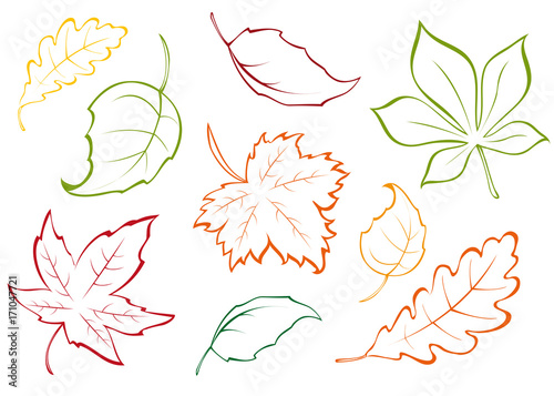 different autumn leaves icons