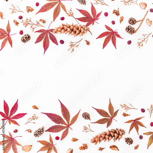 Frame made of autumn leaves  dried flowers and pine cones on white background. Flat lay  top view  copy space.