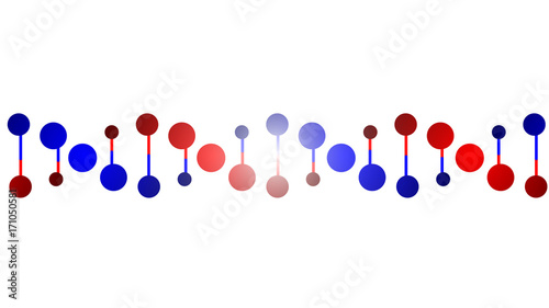 DNA protein chain