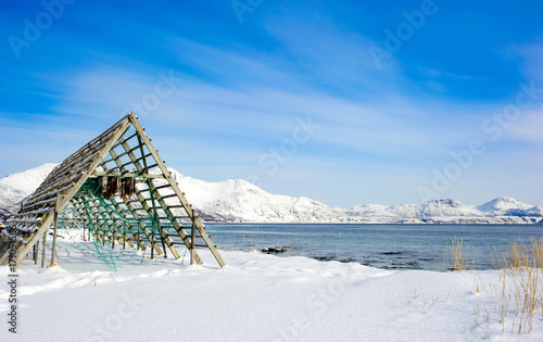 Fish drying by the sea in Tromsø