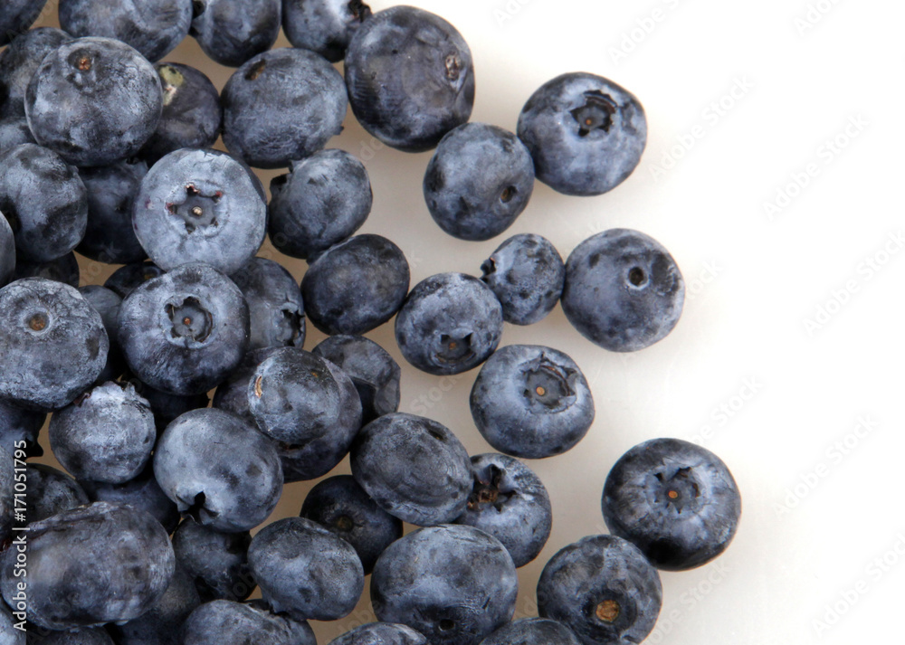Close-up studio shot of organic blueberries Close-up studio shot of organic blueberries