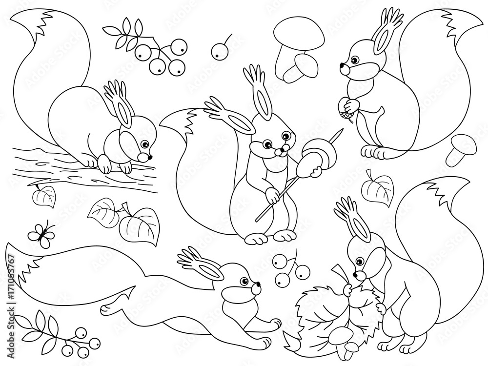Fototapeta premium Vector Forest Squirrels Set. Squirrels Clipart Vector Illustration. 