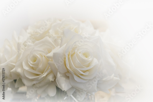 White roses bouquet surrounded by white light.