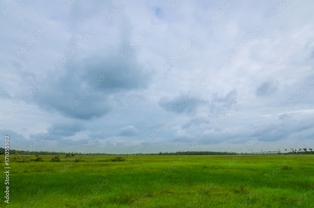 Green feild and blue sky with clouds Green feild and blue sky with clouds