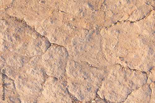 Texture of the ground, soil close-up