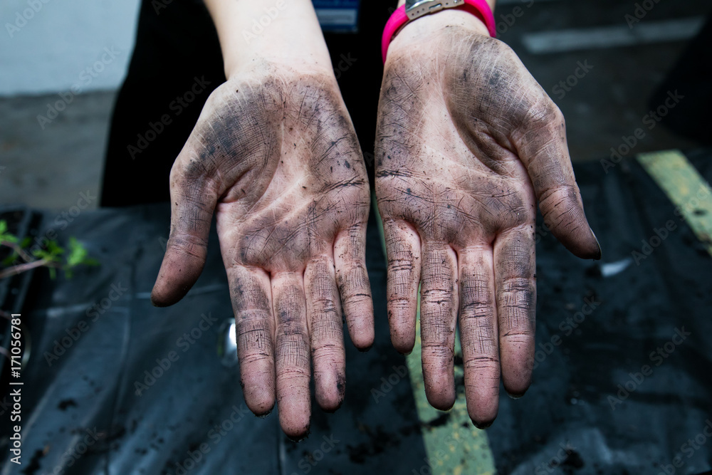Fototapeta premium women showing dirty hands after gardening work 