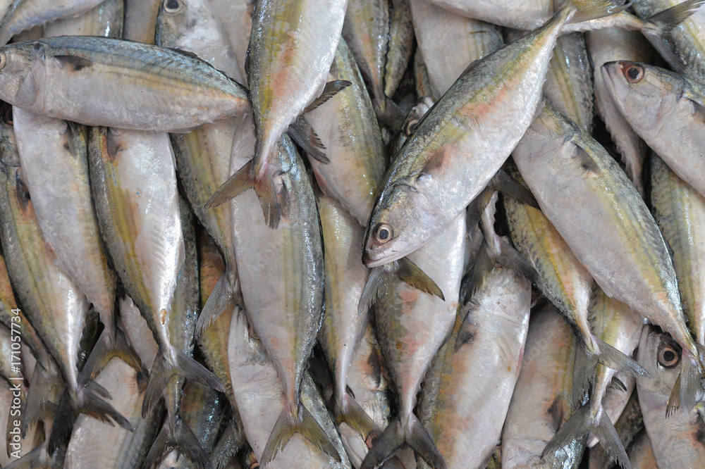 fresh fish on market
