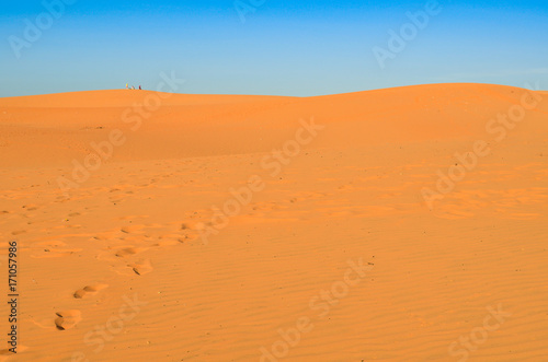 Beautiful white sand dunes ripples in sunrise morningat at Red sand dunes in Muine  Vietnam. Vacation concept background.