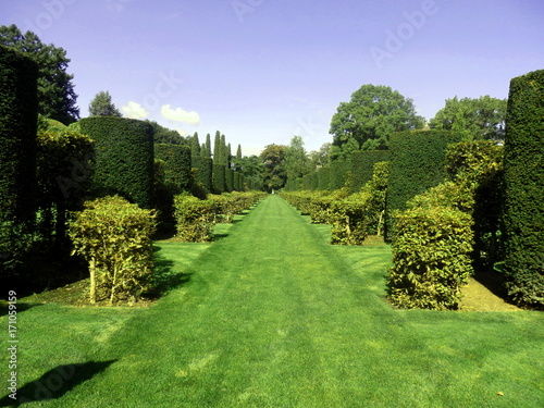 Avenue of Box and Hornbeam topiary found in Eyrignac Manor Garden, Dordogne, France
