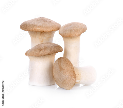 King oyster mushroom Pleurotus eryngii isolated on white background