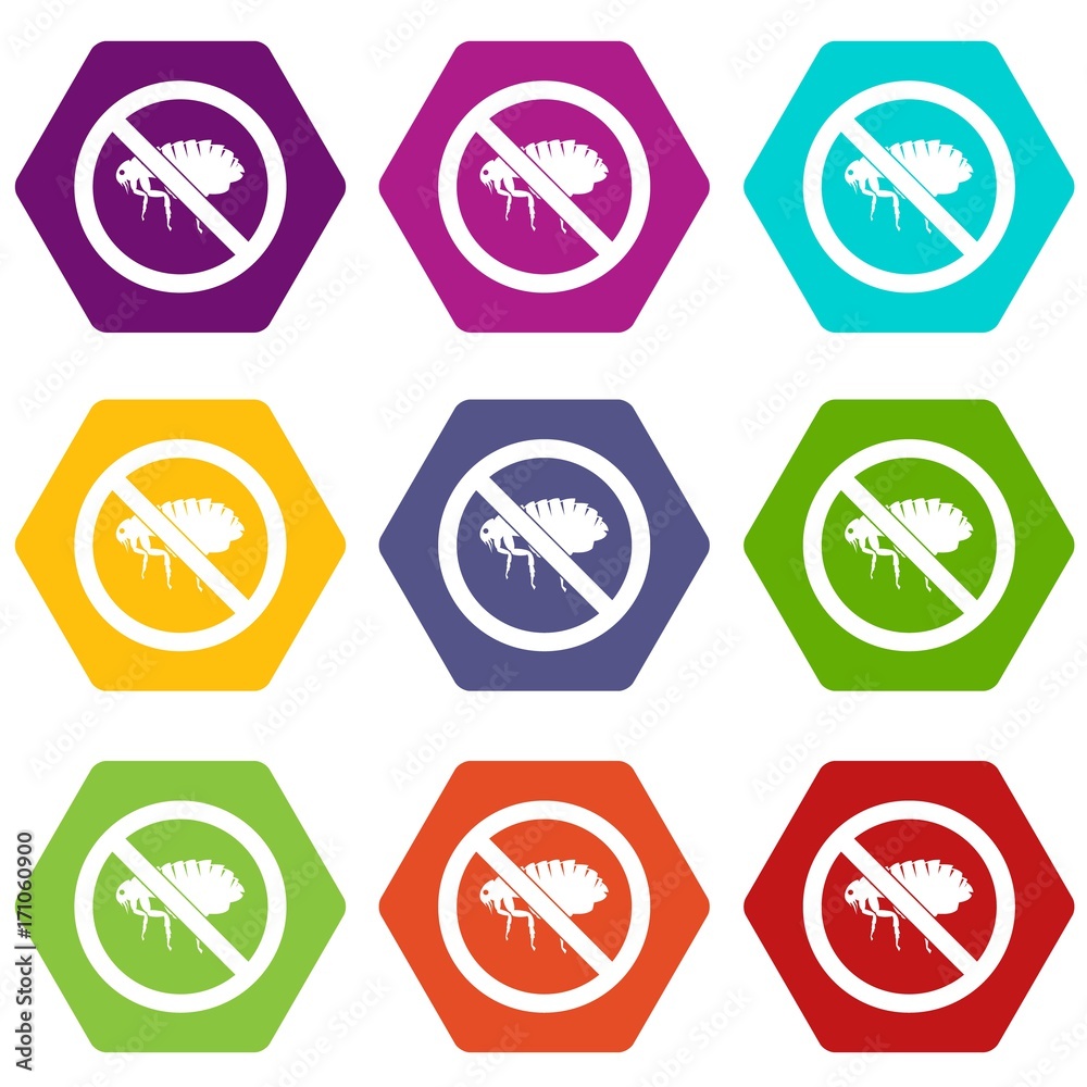 No flea sign icon set color hexahedron No flea sign icon set color hexahedron