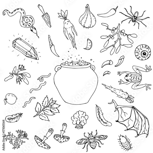 Set of doodle cauldrons with ingredients