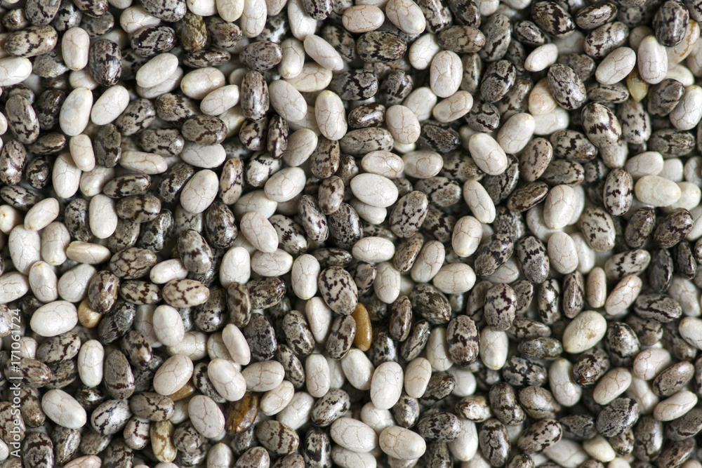 semi di chia semi di chia