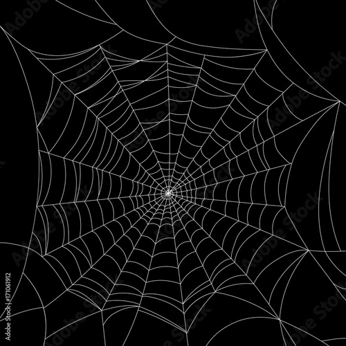 Spider web on black