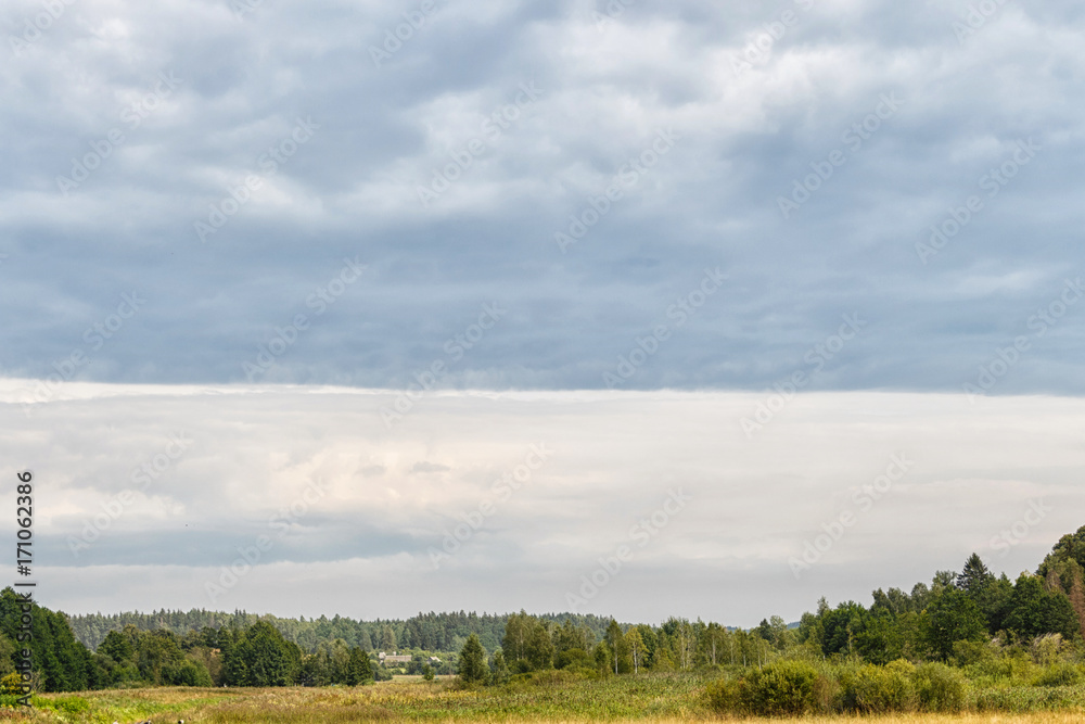 rural landscape on a cloudy gray sky background