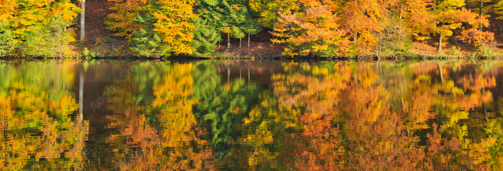 Forest lake in colorful autumn forest.