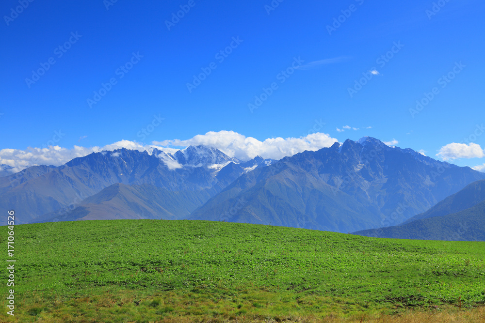 Fototapeta premium pole ziemniaków w wysokich górach