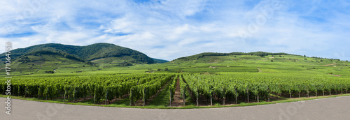 Vignoble de Kaysersberg