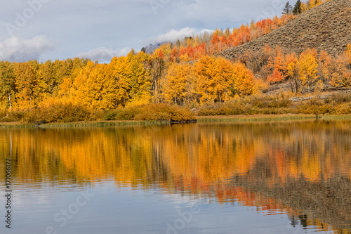 Scenic Autumn Landscape Reflection