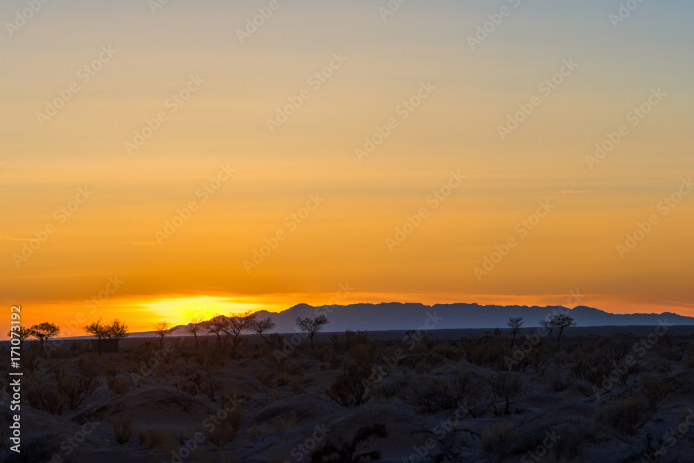 custom made wallpaper toronto digitalsilhouettes of trees on hill at orange sunset with great mountains on background
