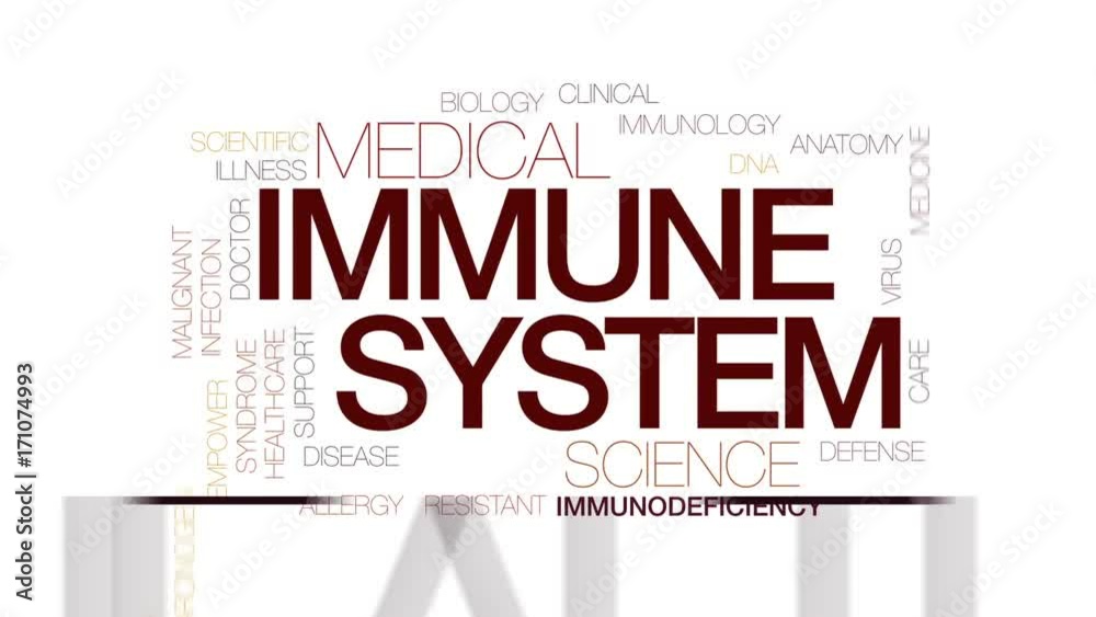 Immune system animated word cloud, text design animation. Kinetic typography.