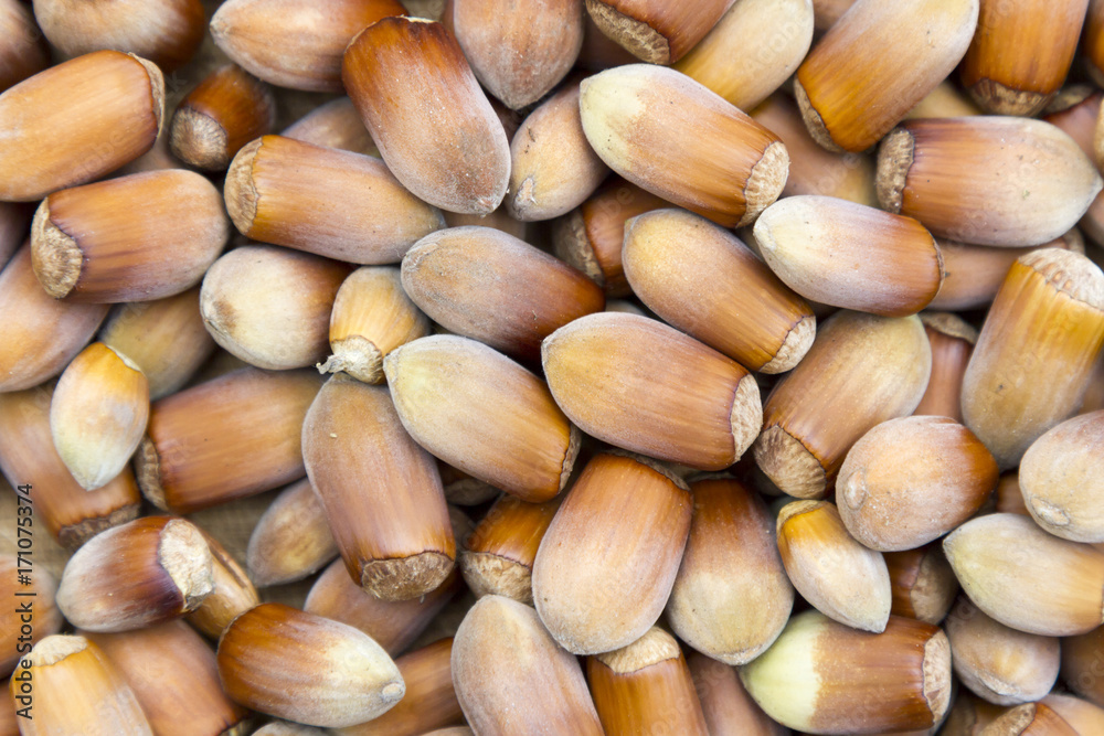 Stack of hazelnuts. Hazelnut background Stack of hazelnuts. Hazelnut background
