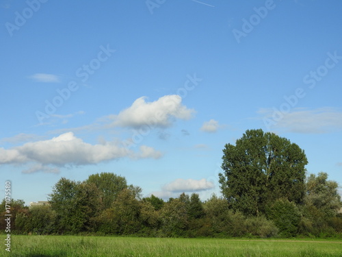 himmel, cloud, baum, landschaft, natur, green, sommer, blau, land, weiss