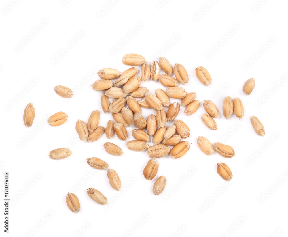 wheat grains isolated on white background. Top view wheat grains isolated on white background. Top view