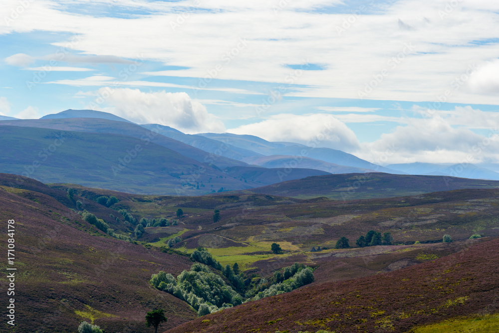 Naklejka premium View of Cairngorms National Park