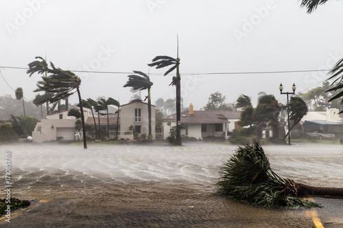 Fotografie, Obraz Flooded Las Olas Blvd and Palm trees blowing in the winds, catastrophic hurricane Irma