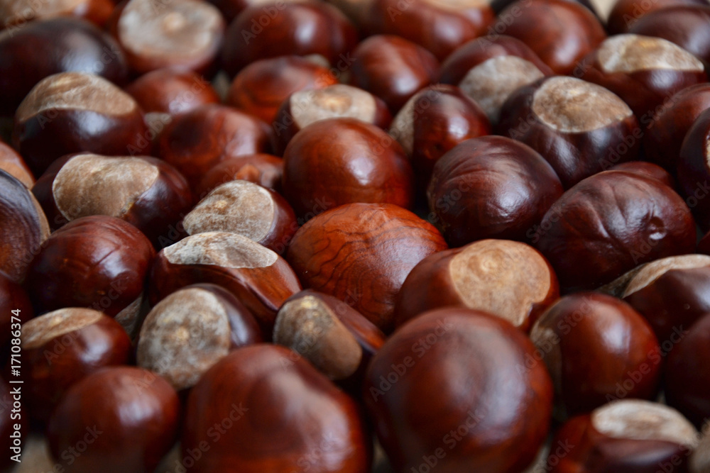 Chestnuts autumn background fall retro photo 2 Chestnuts autumn background fall retro photo 2