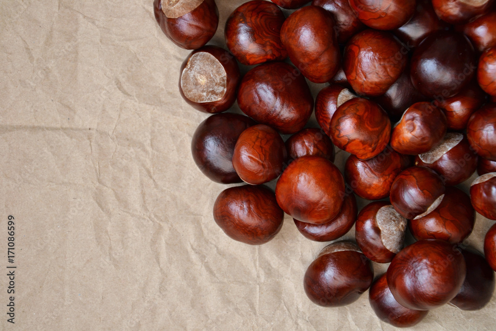 Chestnuts autumn background fall retro photo 7 Chestnuts autumn background fall retro photo 7
