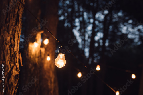Lamp decoration in forest. Elements of the wedding decor in evening ceremony.