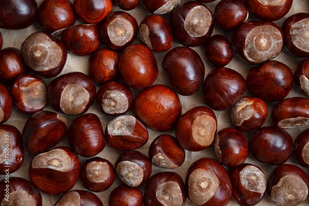 Chestnuts autumn background fall season retro photo 3 Chestnuts autumn background fall season retro photo 3
