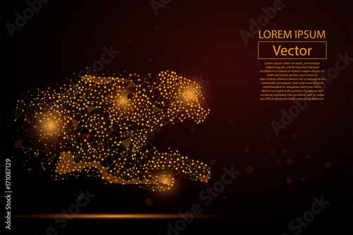 Abstract image of cheetah made of dots, points and mash lines on dark background with an inscription. Business net speed vector illustration. Polygonal, geometry triangle. Low poly vector background. 