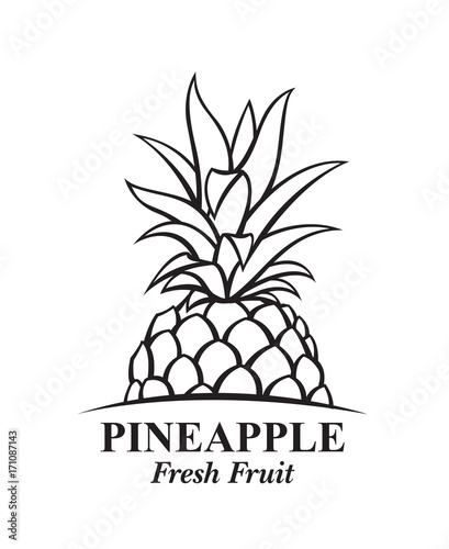 illustration of pineapple tropical fruit