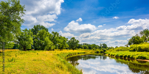 Summer landscape with river and trees