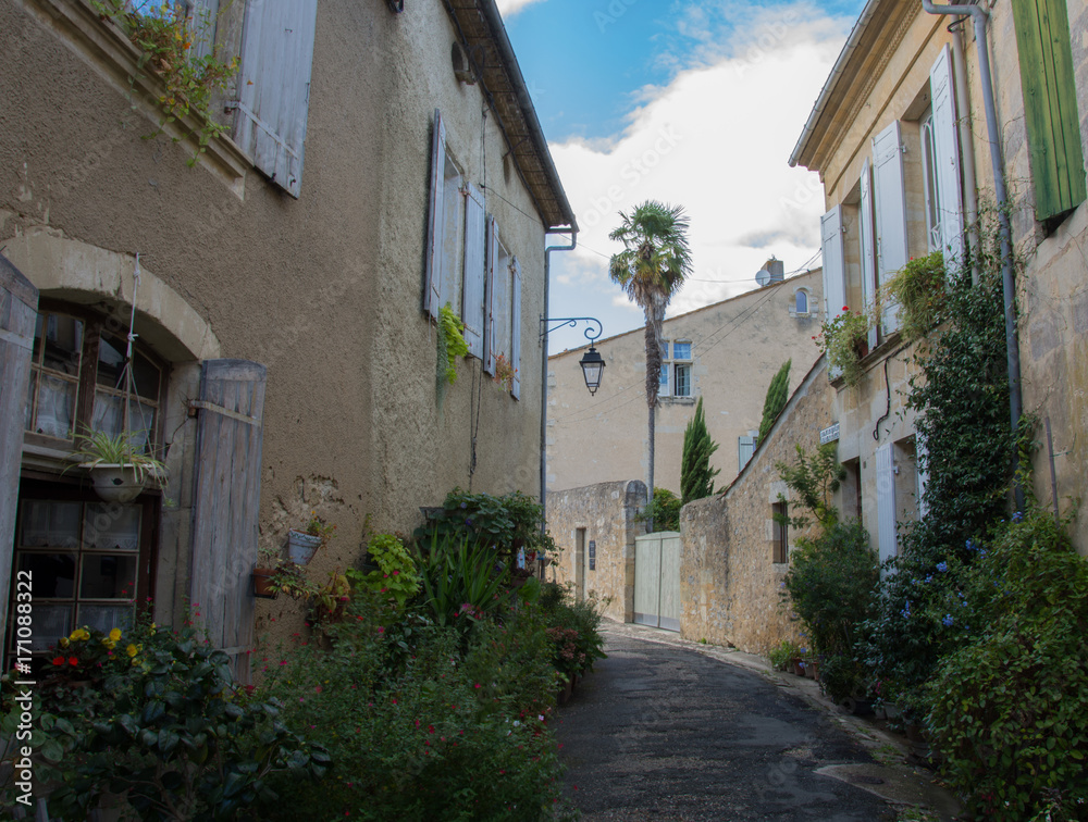 France, Gironde, Rions, une ruelle fleurie