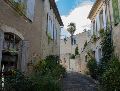 Fototapeta Naklejka Na Ścianę i Meble -  France, Gironde, Rions, une ruelle fleurie