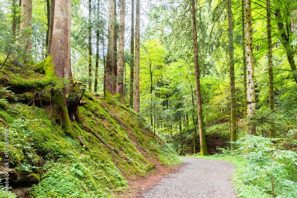 Obraz premium Känzele